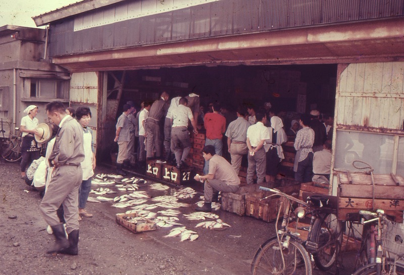 Itoigawa fish market