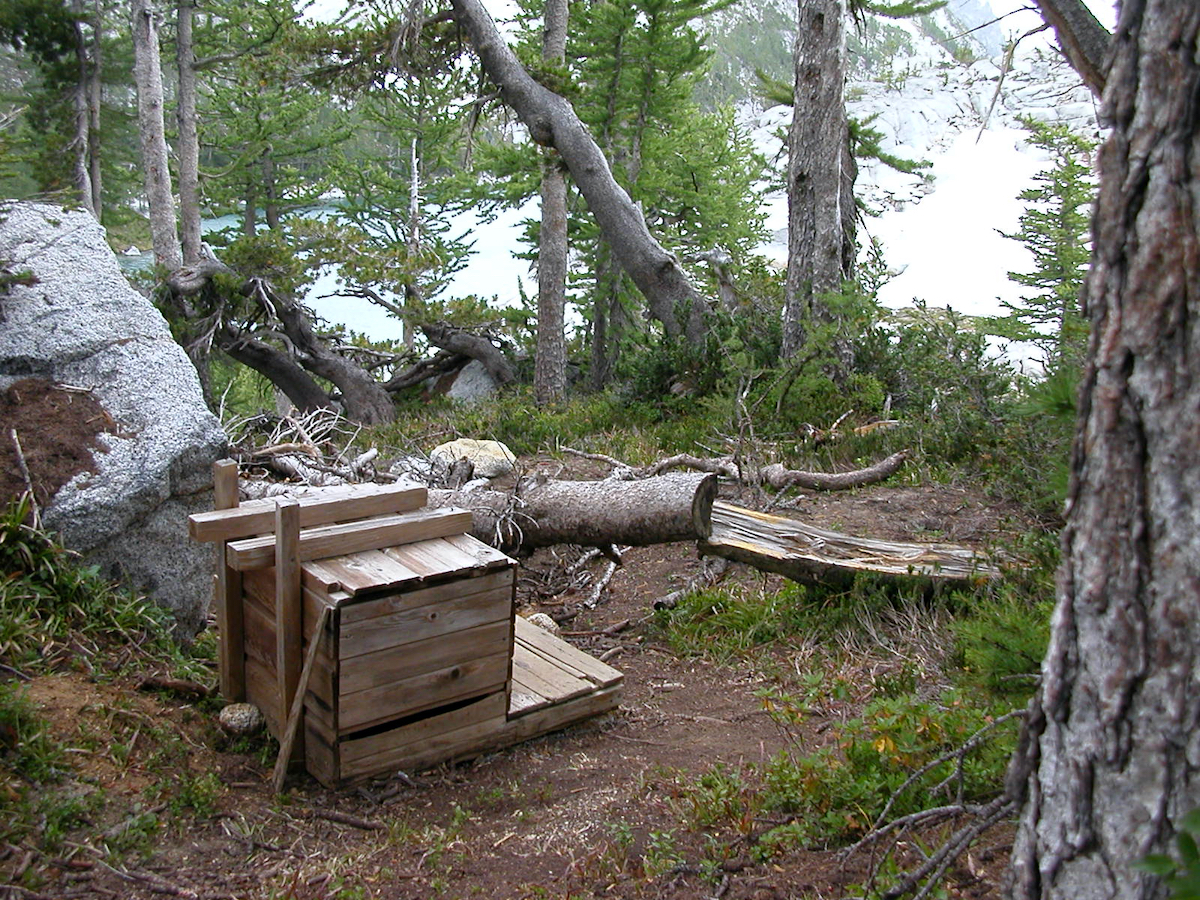 wooden toilet box in trees