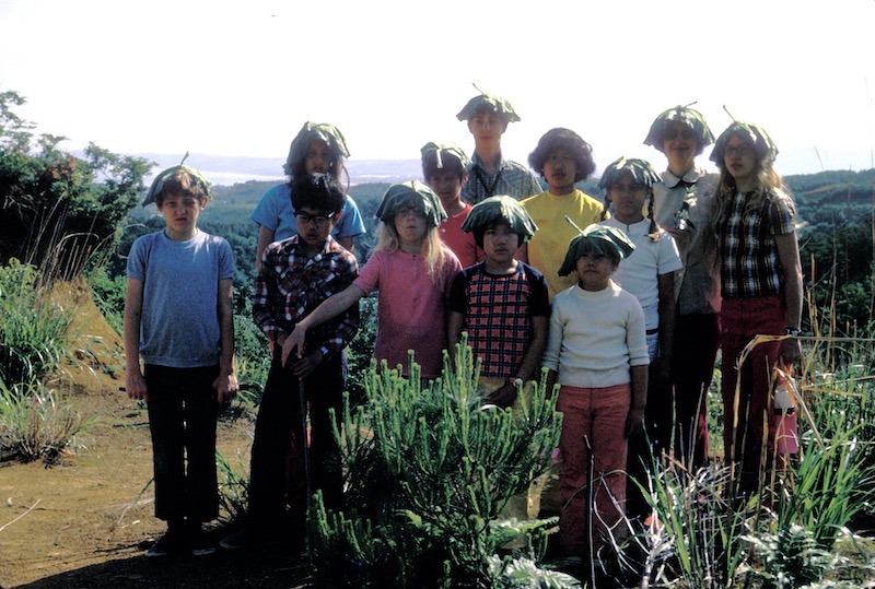 kids with big leafs on heads