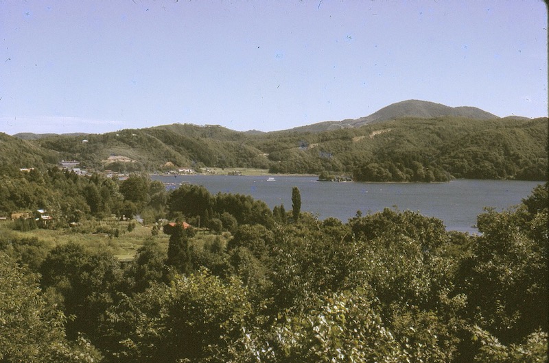 view from hill of lake
