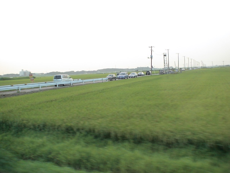 two lane road through rice fields
