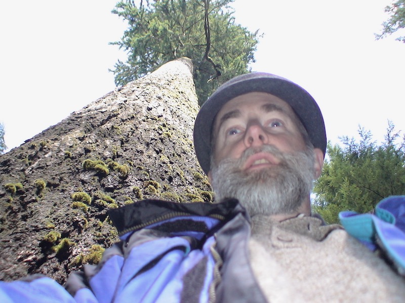 looking up to me and the tree trunk beside