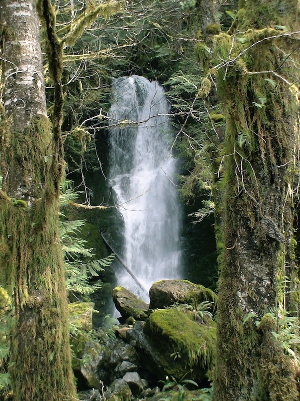 Waterfall through trees