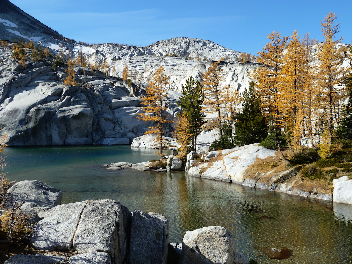 lake with larches