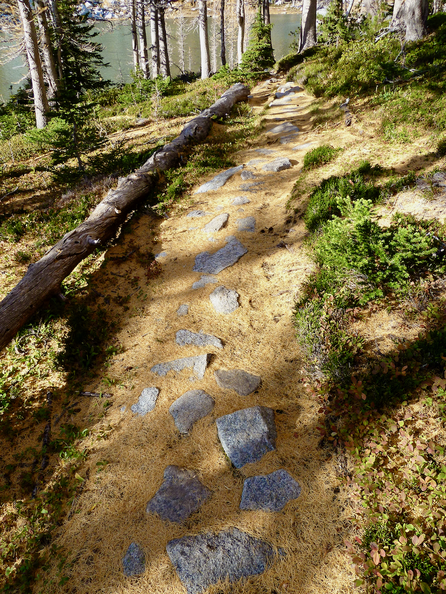 stone in trail by lake with fallen gold around them