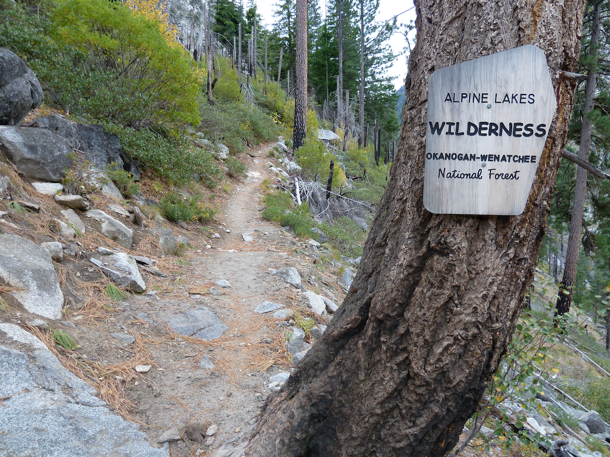 trail with trail sign on tree