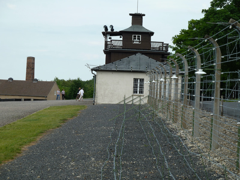 Barbed wire on and around fencing