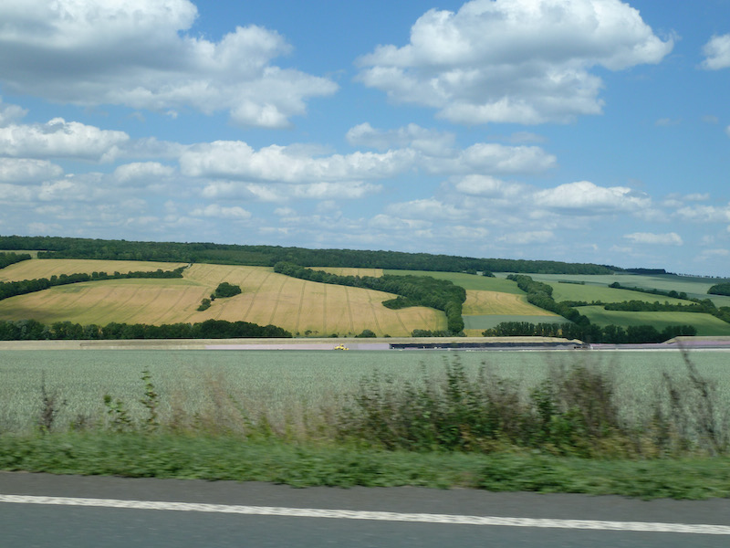 Farm field with tree lines