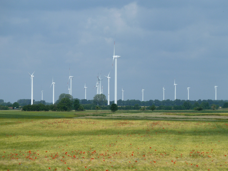 Fields with red highlights and turbines in background