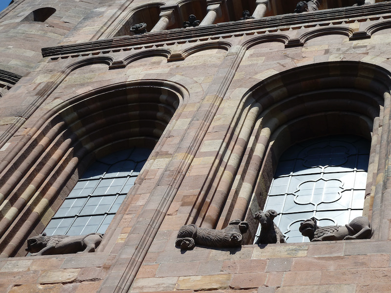 Stone animals on outside window sills