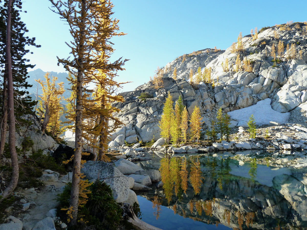 larches reflecting in a lake, trail alongside