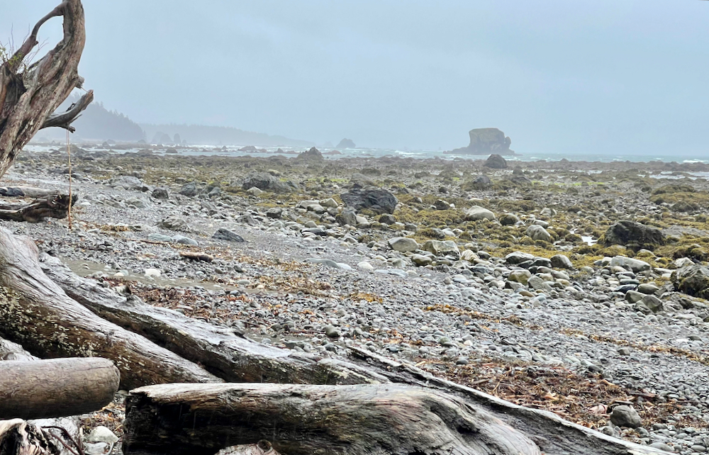 driftwood, distance rocks and water