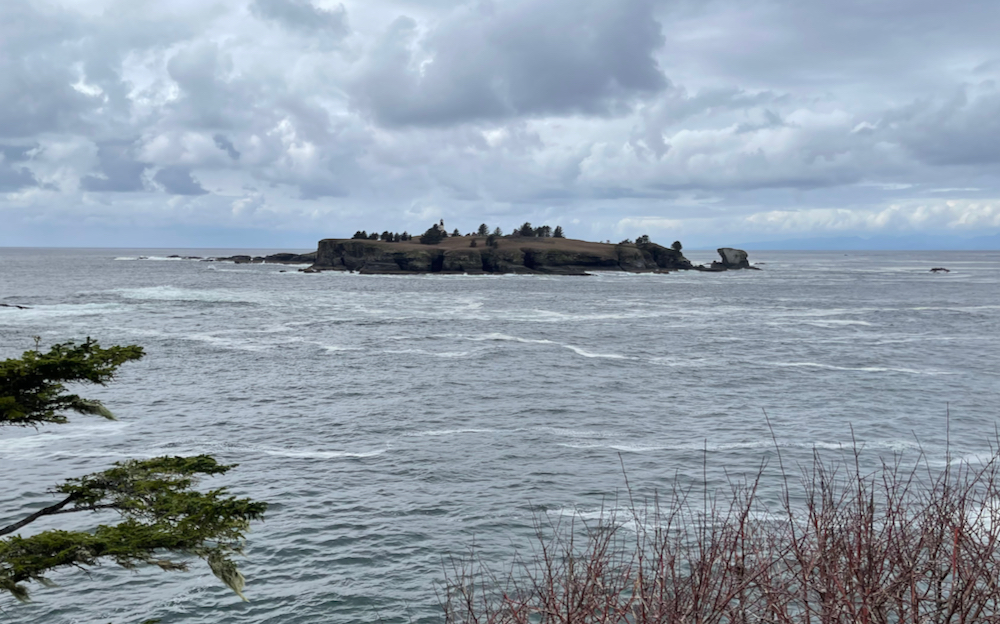 offshore island with trees and buildings