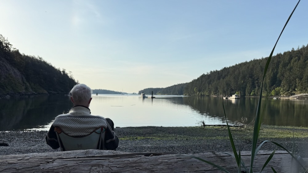 back of sitting person looking at calm harbor