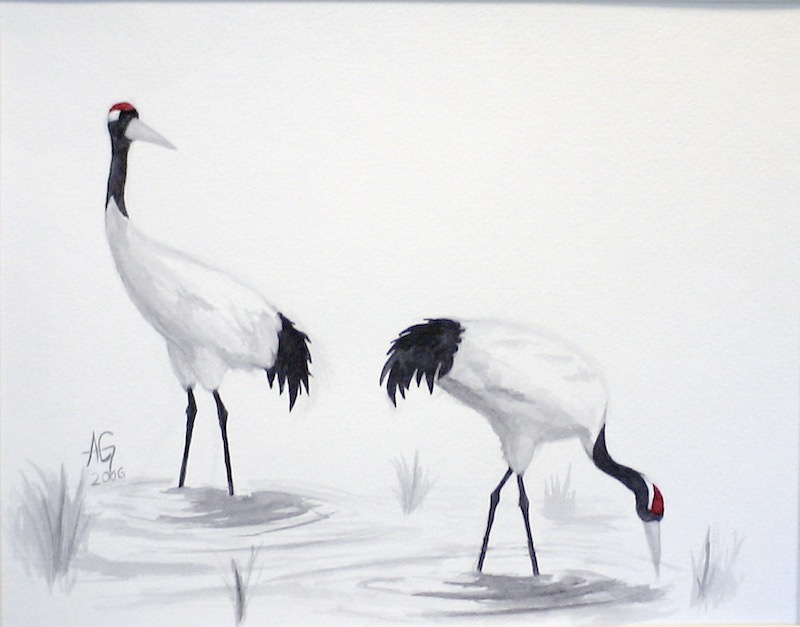 Cranes standing in water eating
