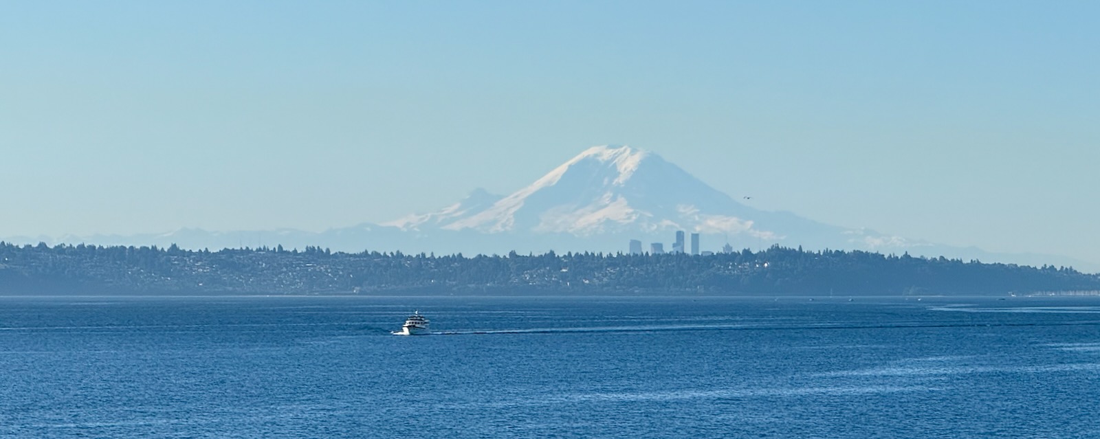 Seattle skyline in front of mountain
