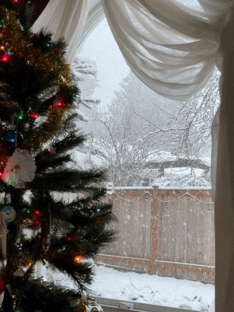 snow falling behind 2022's Christmas tree
