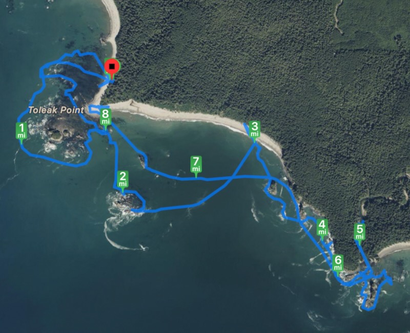 track to Goodman Creek and back