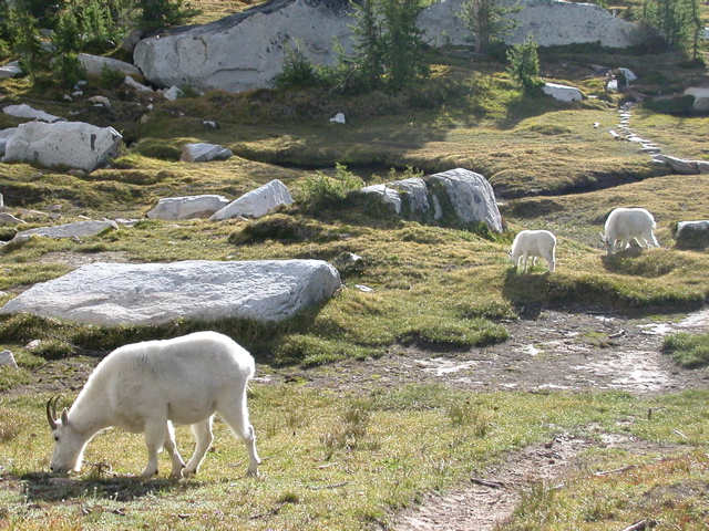 2002_enchantments13