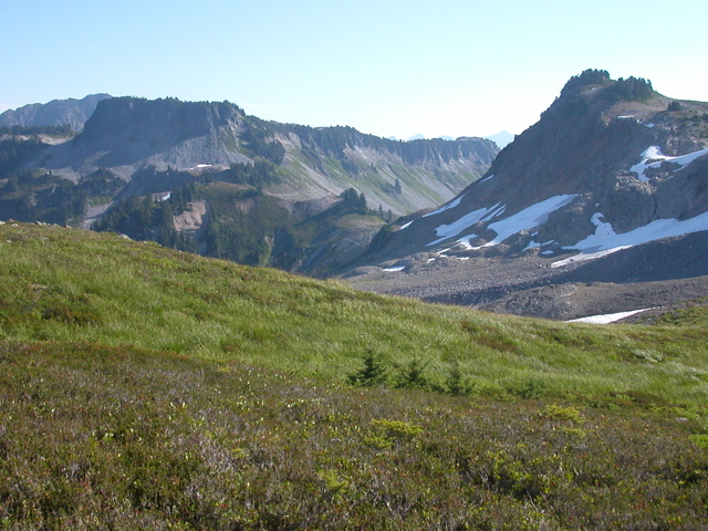 2004_ptarmigan0