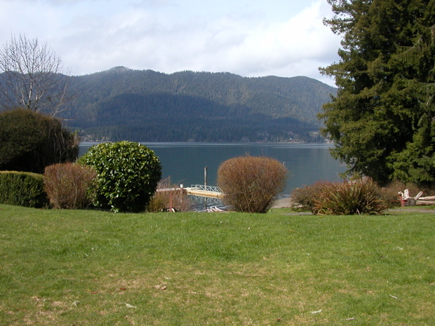 20060319_LakeQuinault0