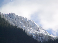 20060319_LakeQuinault1