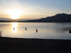 20060319_LakeQuinault10