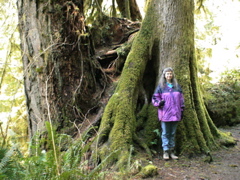 20060319_LakeQuinault9