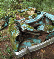 20070826_WalkWoods2