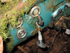 20070826_WalkWoods3