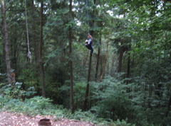 20070826_WalkWoods5