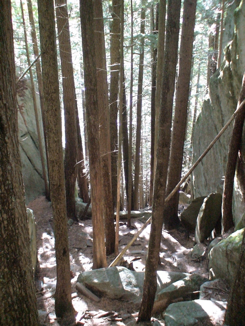 20071105_SquamishHike6