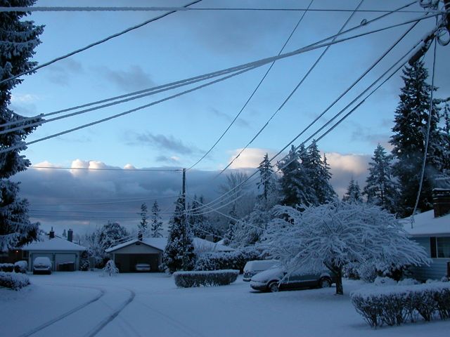 20080128_snowstorm2