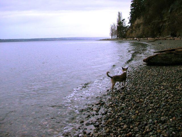 20080210_kayak_point1