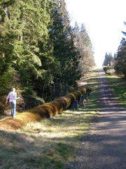 20080223_tolt_pipeline2