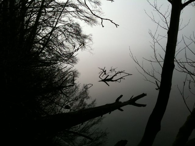20100215_foggy_st_edwards3