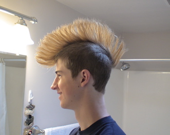 Andrew's mohawk